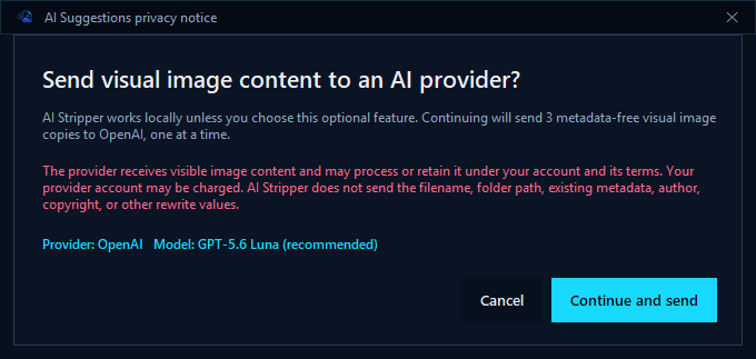 AI Stripper disclosure shown before an image is sent to an AI provider
