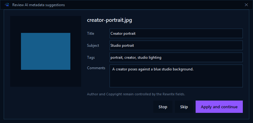 AI Stripper per-image review window for suggested Title, Subject, Tags, and Comments
