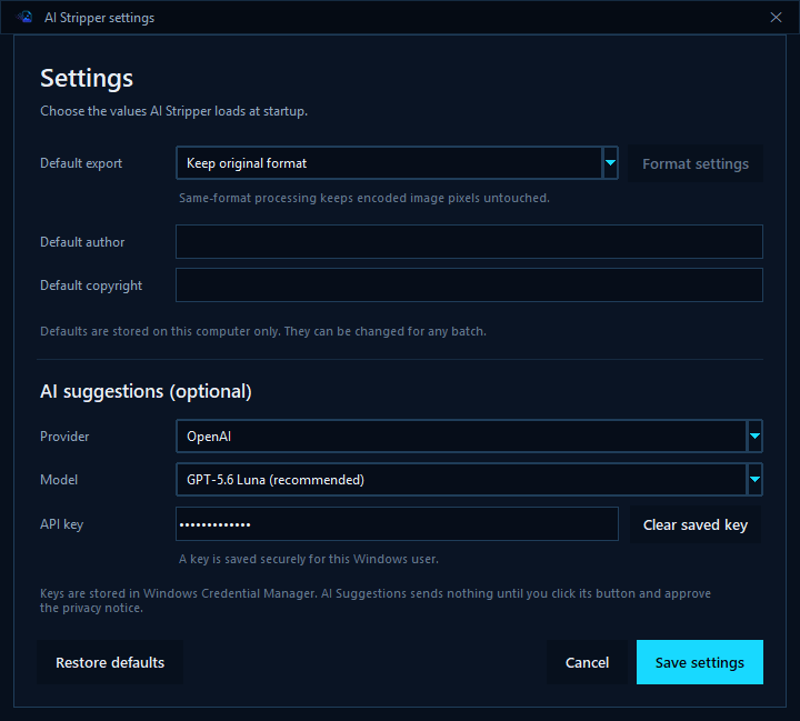 AI Stripper settings window with output defaults and optional AI provider controls